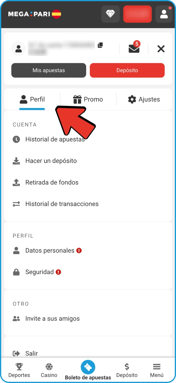Consulta el saldo de tu cuenta personal de Megapari.